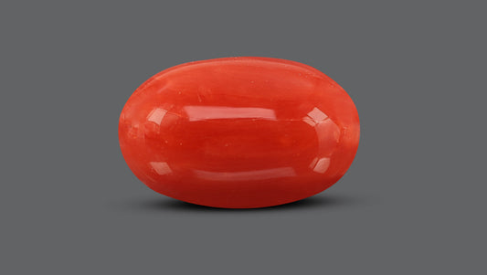 Natural Italian Red Coral (Moonga) 10.82 Carats