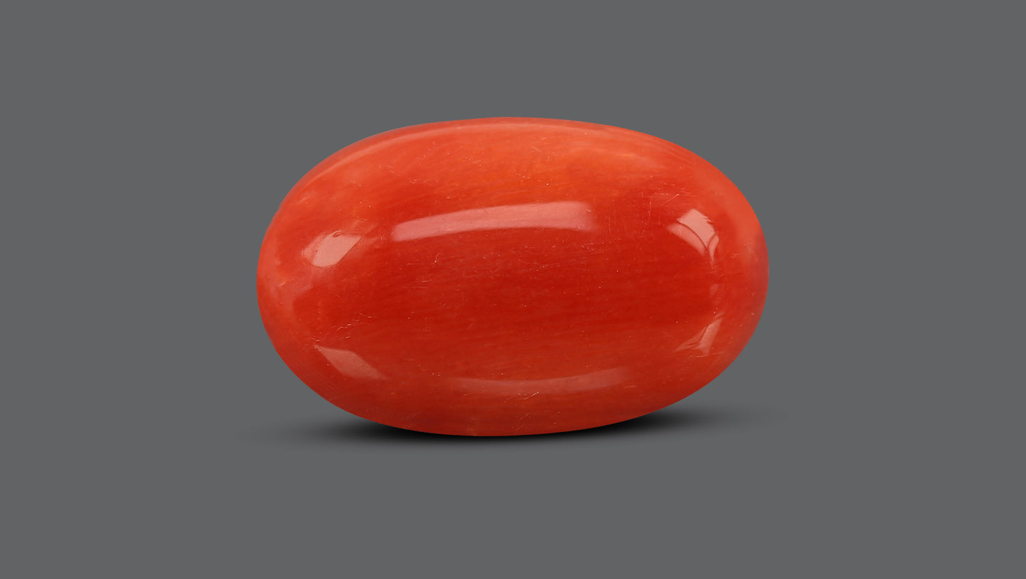 Natural Italian Red Coral (Moonga) 9.81 Carats