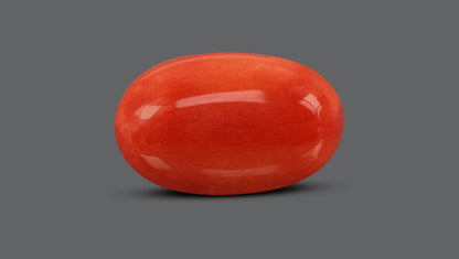 Natural Italian Red Coral (Moonga) 9.81 Carats