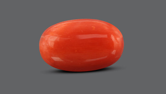Natural Italian Red Coral (Moonga) 10.36 Carats