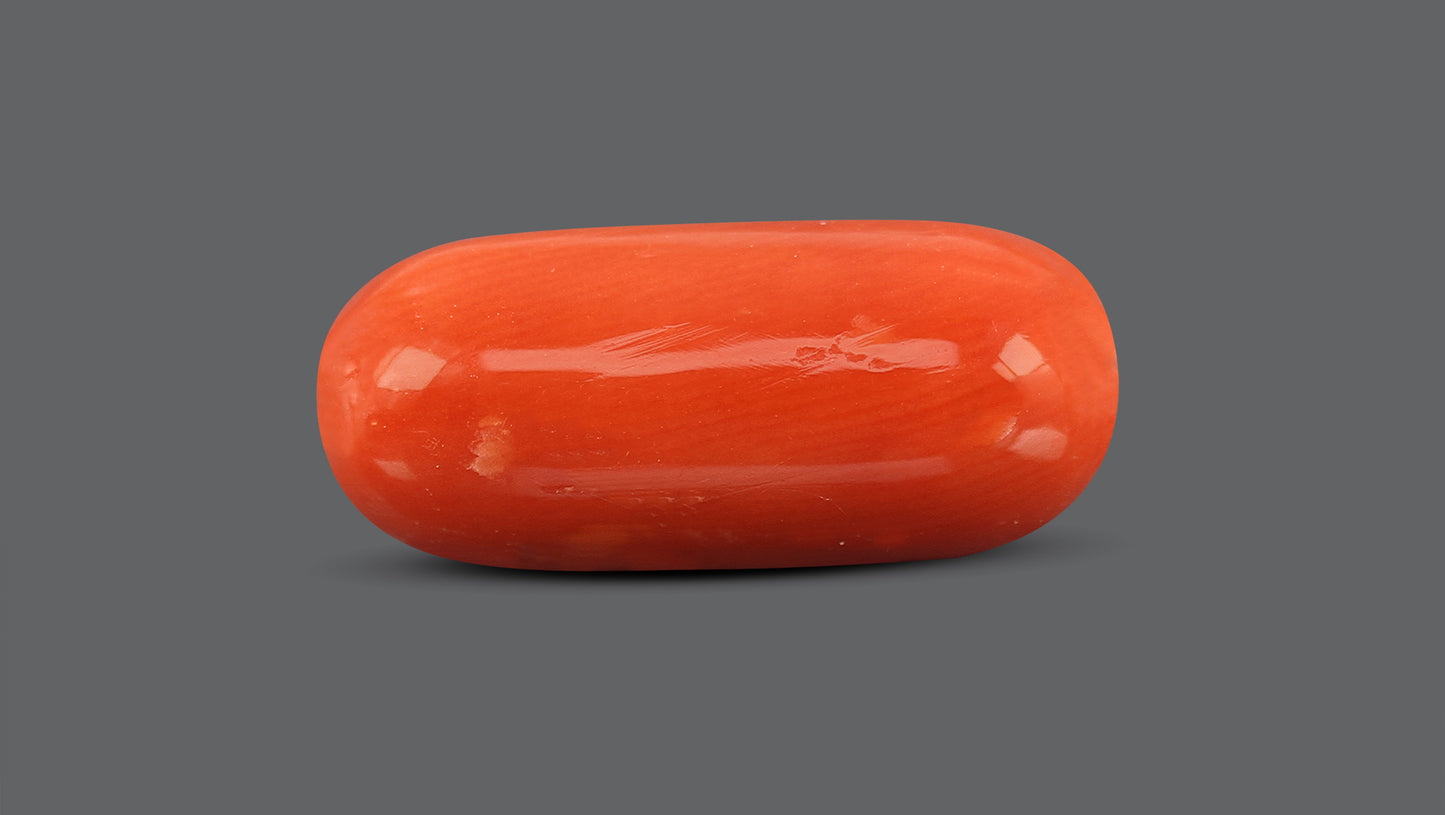 Natural Italian Red Coral (Moonga) 10.14 Carats