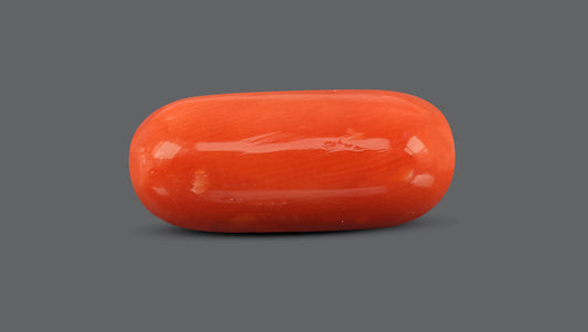 Natural Italian Red Coral (Moonga) 10.14 Carats