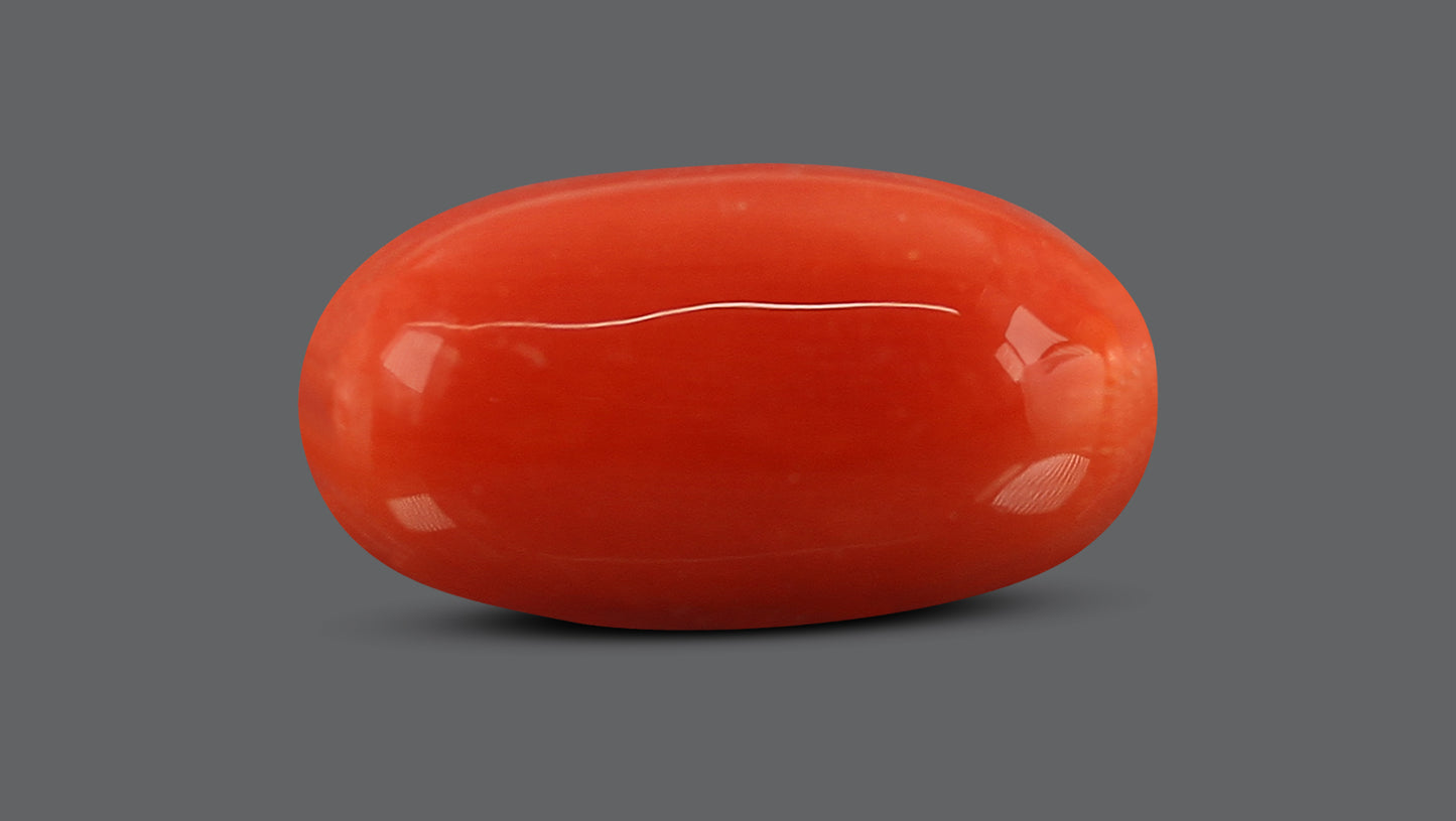 Natural Italian Red Coral (Moonga) 7.71 Carats