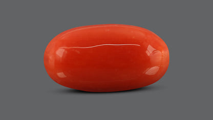 Natural Italian Red Coral (Moonga) 7.71 Carats