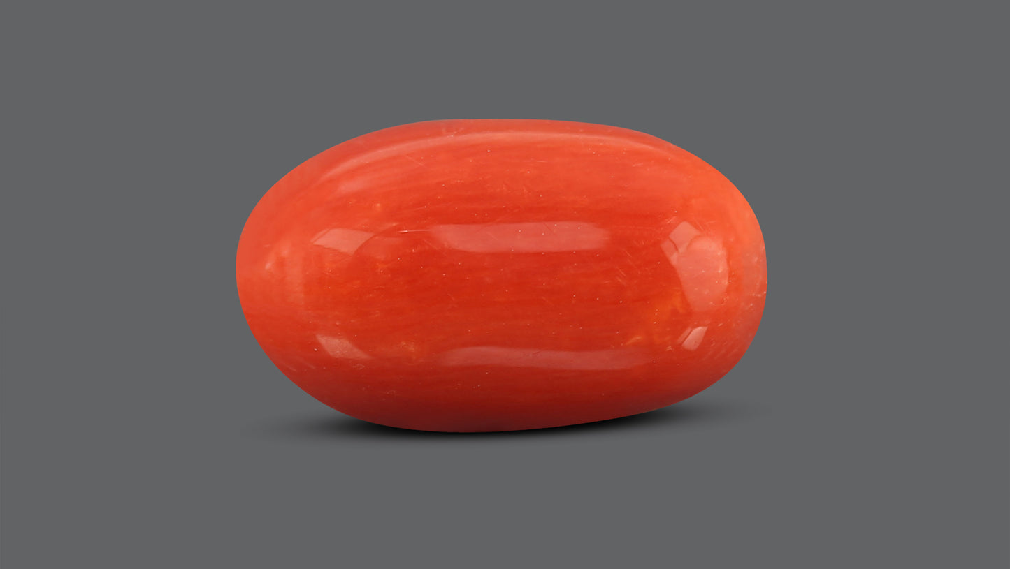 Natural Italian Red Coral (Moonga) 7.63 Carats