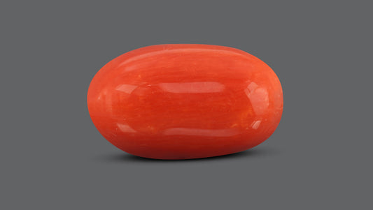 Natural Italian Red Coral (Moonga) 7.63 Carats