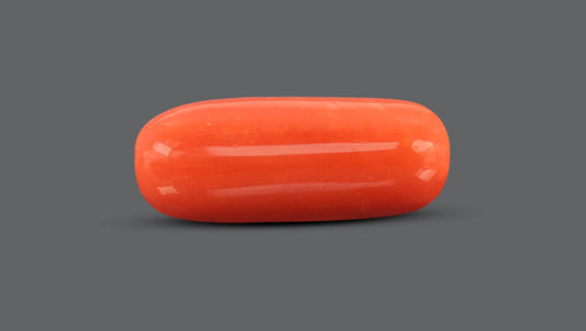 Natural Italian Red Coral (Moonga) 10.79 Carats