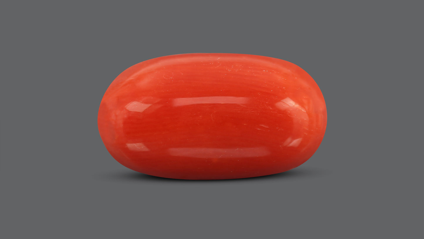 Natural Italian Red Coral (Moonga) 10.05 Carats