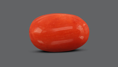 Natural Italian Red Coral (Moonga) 7.60 Carats