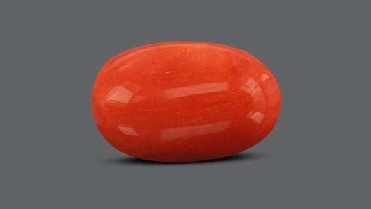 Natural Italian Red Coral (Moonga) 7.60 Carats