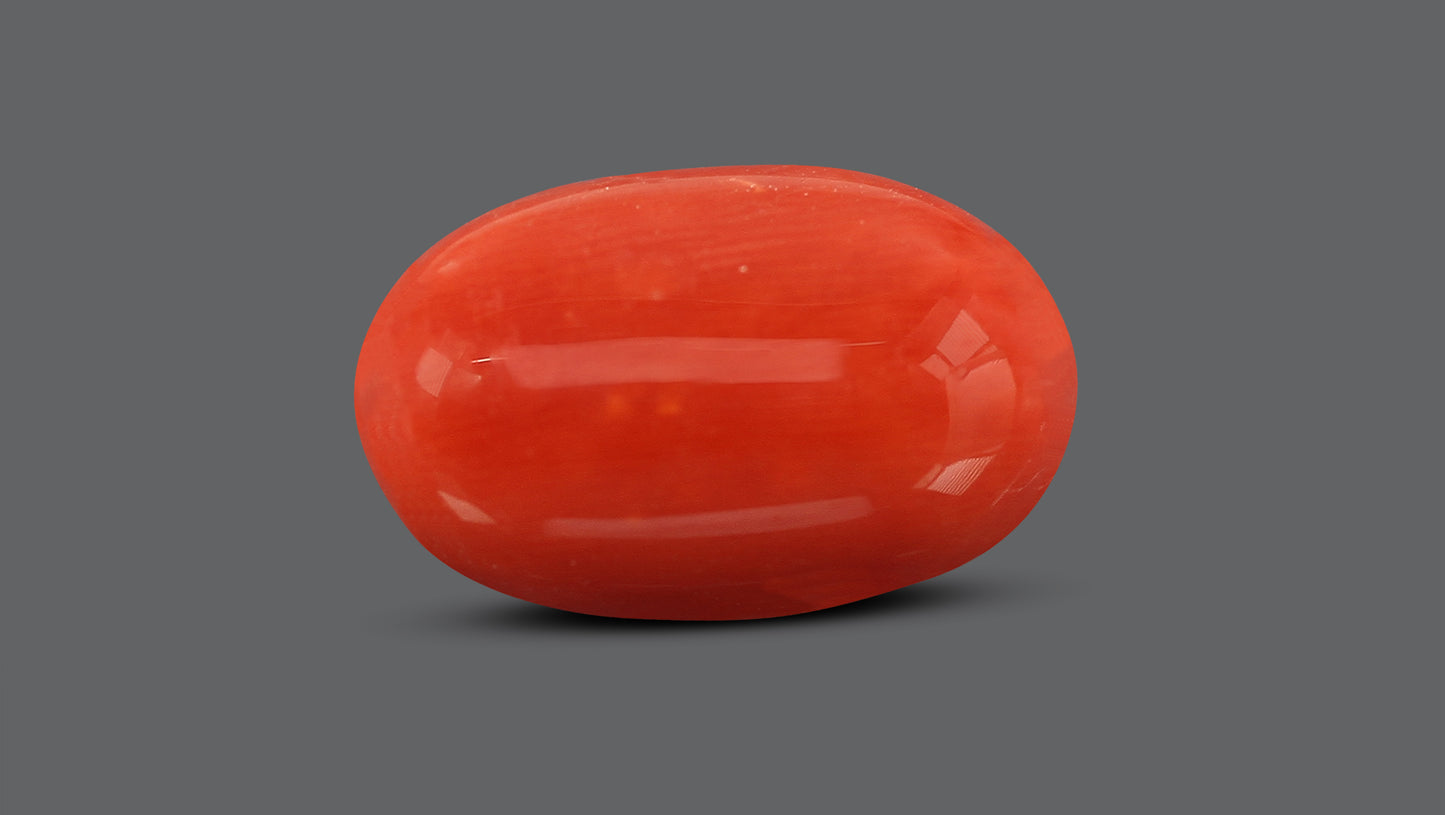 Natural Italian Red Coral (Moonga) 8.10 Carats