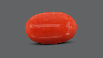 Natural Italian Red Coral (Moonga) 8.10 Carats
