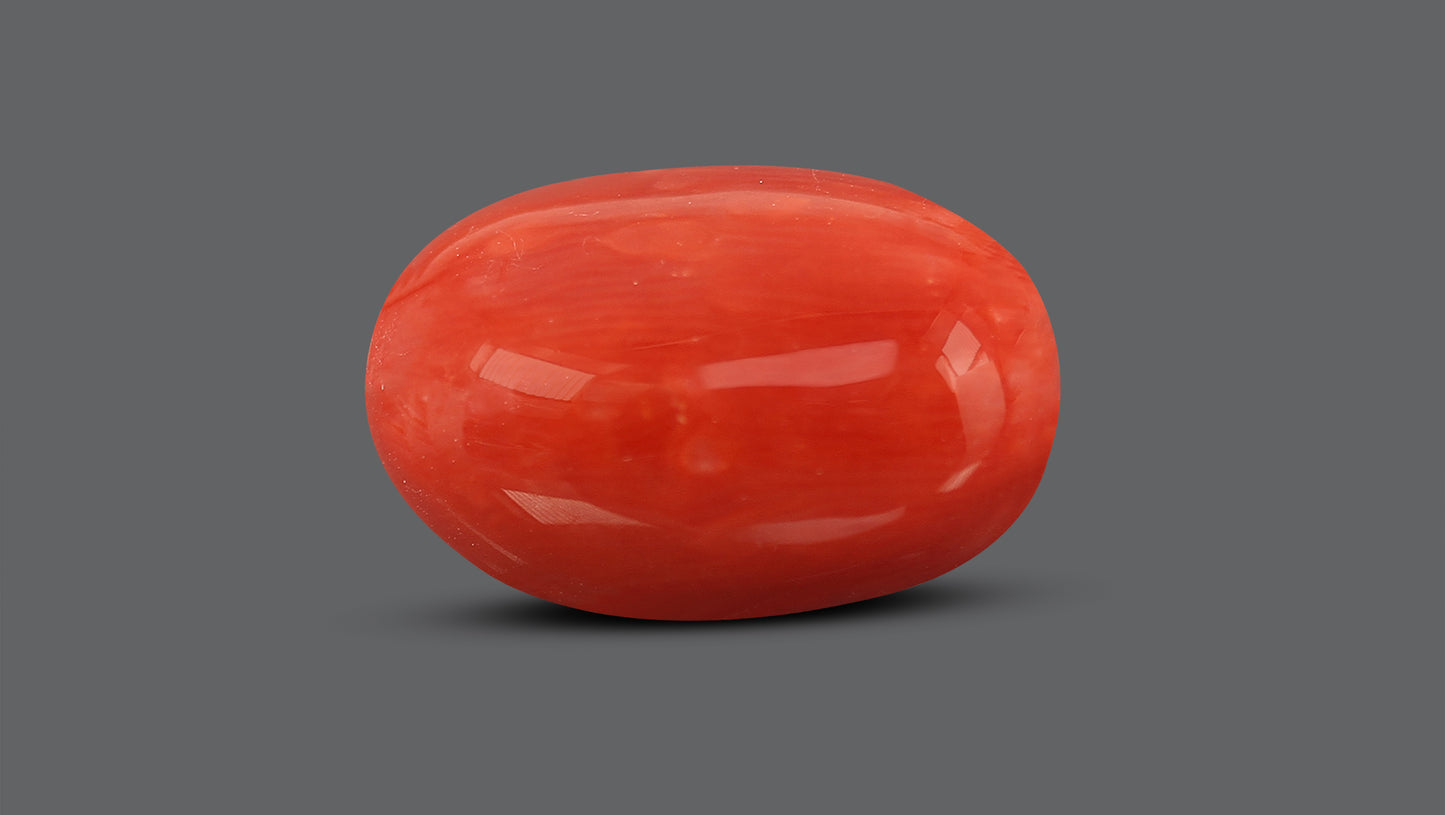 Natural Italian Red Coral (Moonga) 10.54 Carats