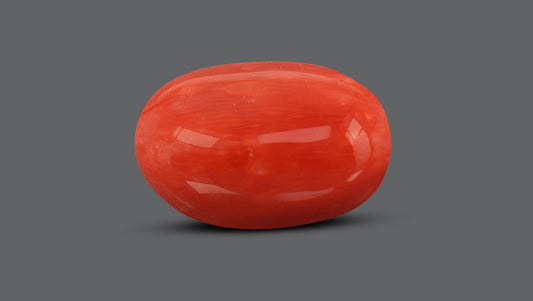 Natural Italian Red Coral (Moonga) 10.54 Carats