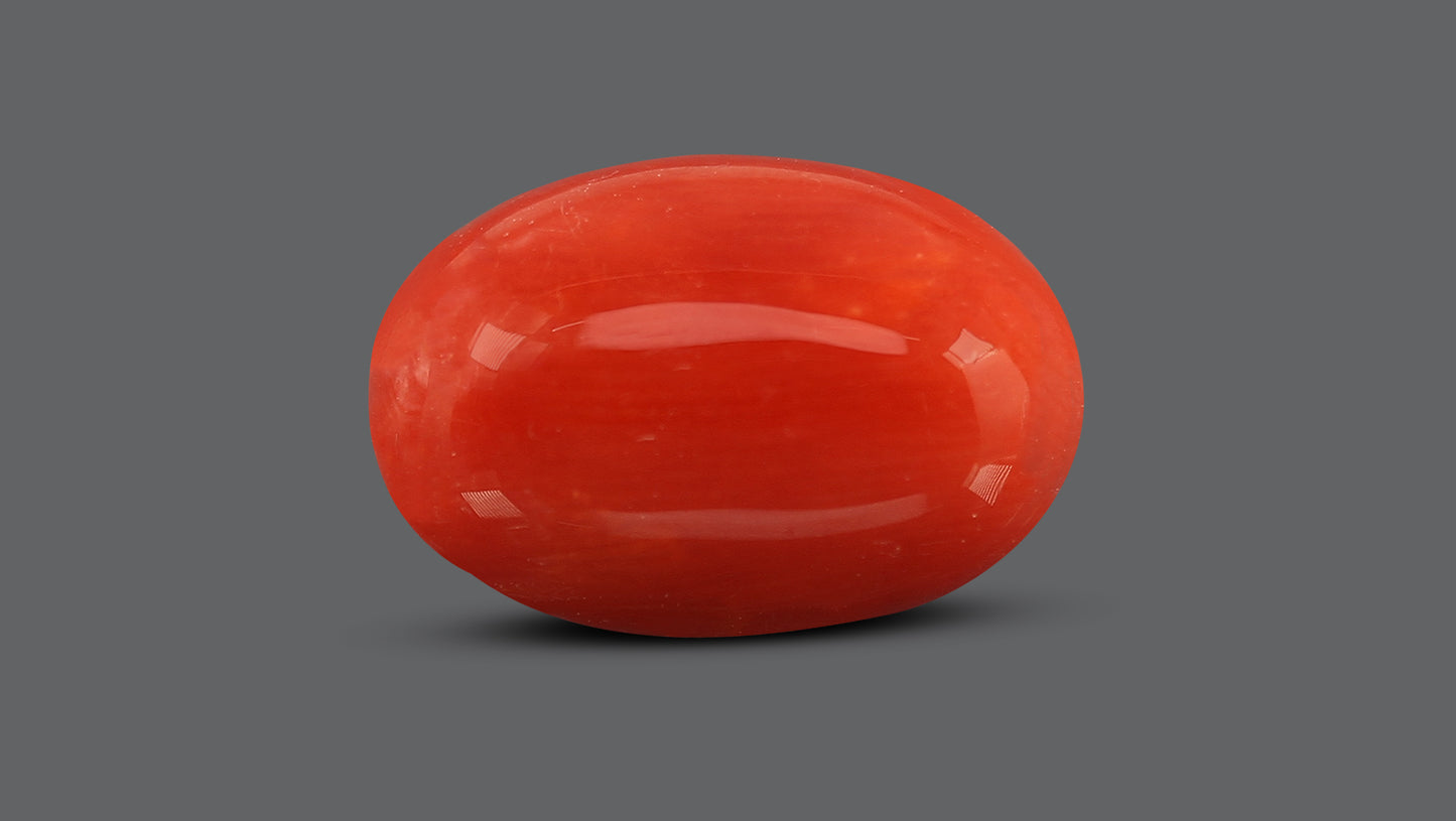 Natural Italian Red Coral (Moonga) 8.13 Carats