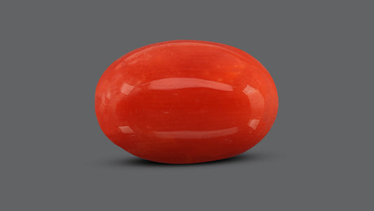 Natural Italian Red Coral (Moonga) 8.13 Carats
