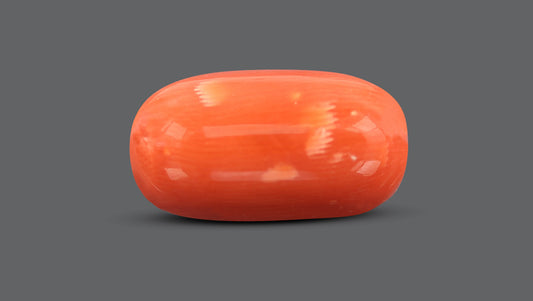 Natural Italian Red Coral (Moonga) 13.48 Carats
