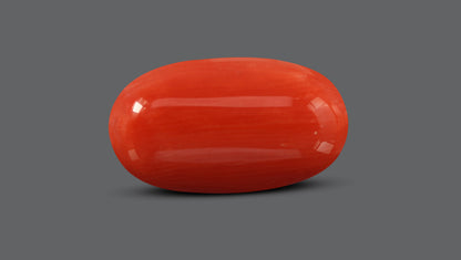 Natural Italian Red Coral (Moonga) 7.53 Carats