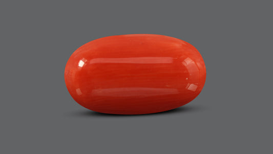 Natural Italian Red Coral (Moonga) 7.53 Carats