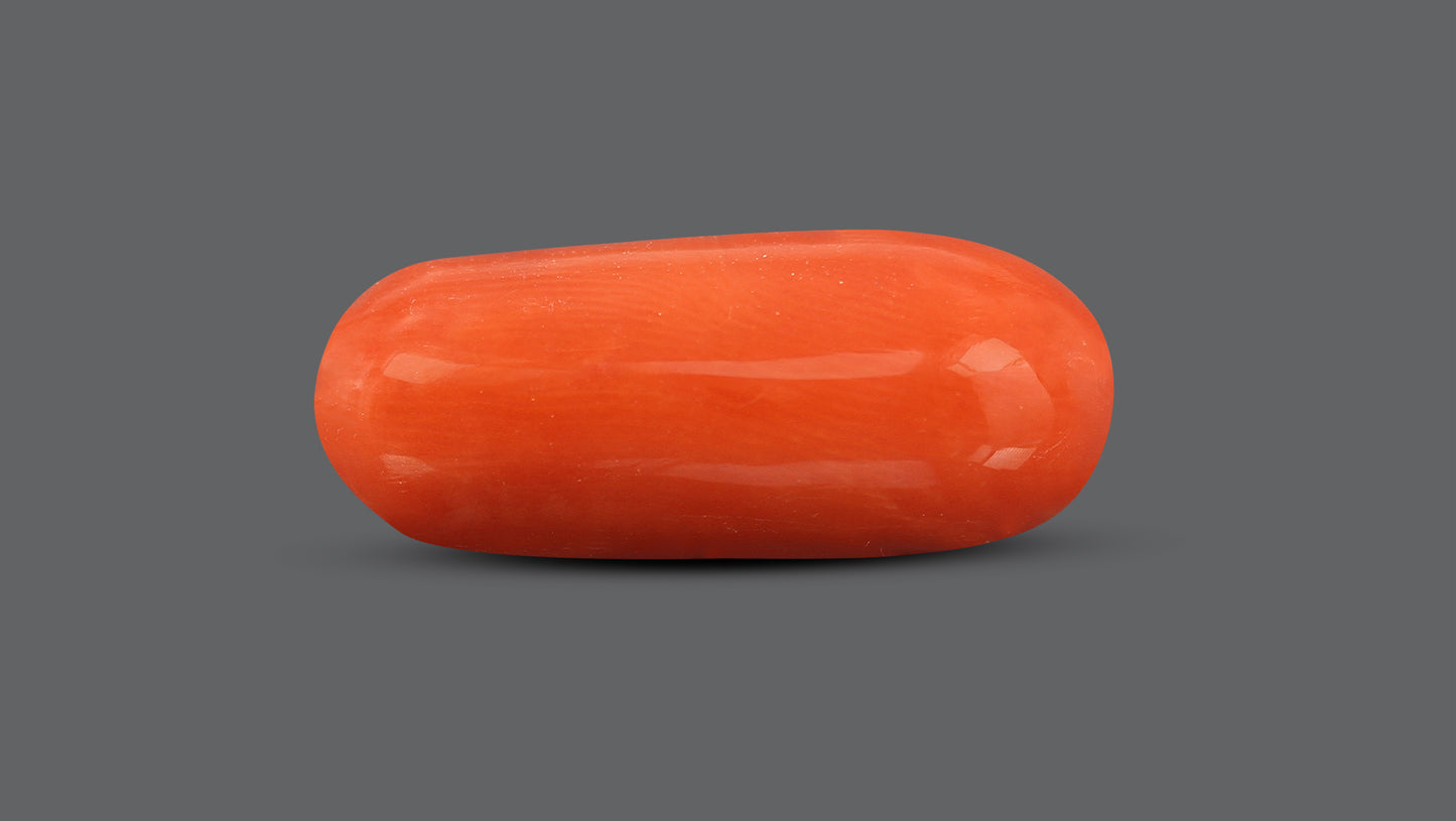 Natural Italian Red Coral (Moonga) 10.31 Carats