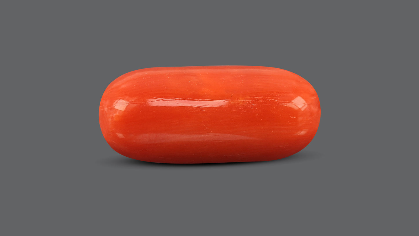 Natural Italian Red Coral (Moonga) 9.79 Carats