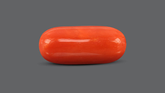 Natural Italian Red Coral (Moonga) 9.79 Carats