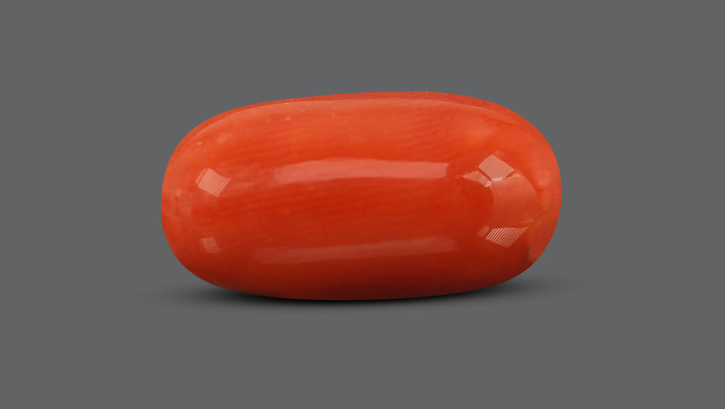 Natural Italian Red Coral (Moonga) 9.83 Carats