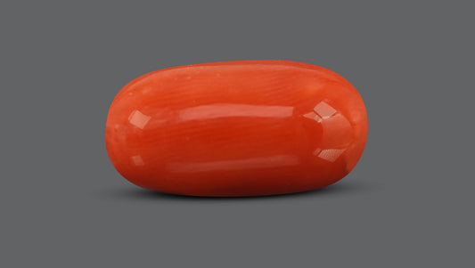 Natural Italian Red Coral (Moonga) 9.83 Carats