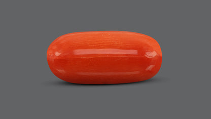 Natural Italian Red Coral (Moonga) 10.51 Carats