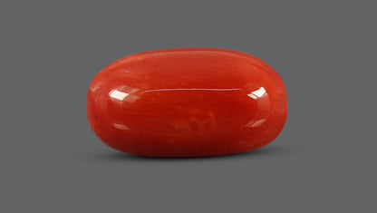 Natural Italian Red Coral (Moonga) 7.63 Carats