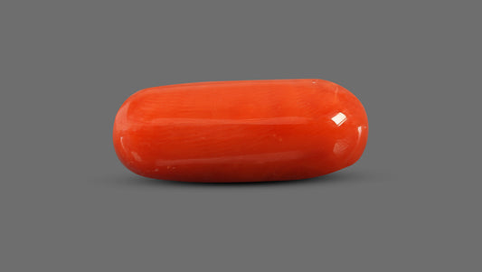 Natural Italian Red Coral (Moonga) 8.92 Carats