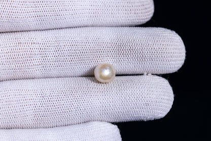 Natural Basra Pearl (Moti) 3.59 Carats