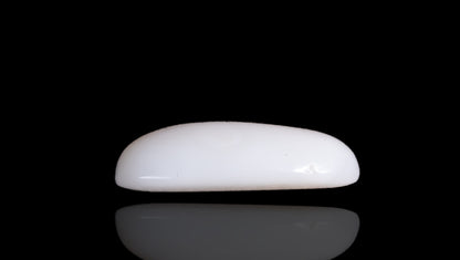 Natural White Coral 7.14 Carats