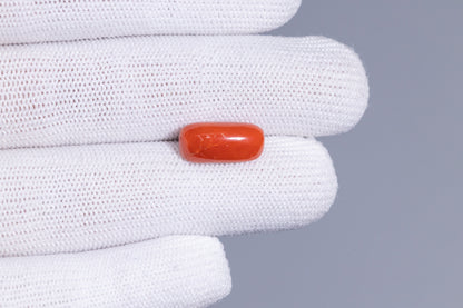 Natural Italian Red Coral (Moonga) 7.58 Carats