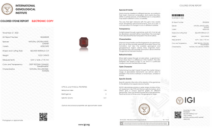 Natural Sri-Lankan Hessonite (Gomed) 10.02 Carats
