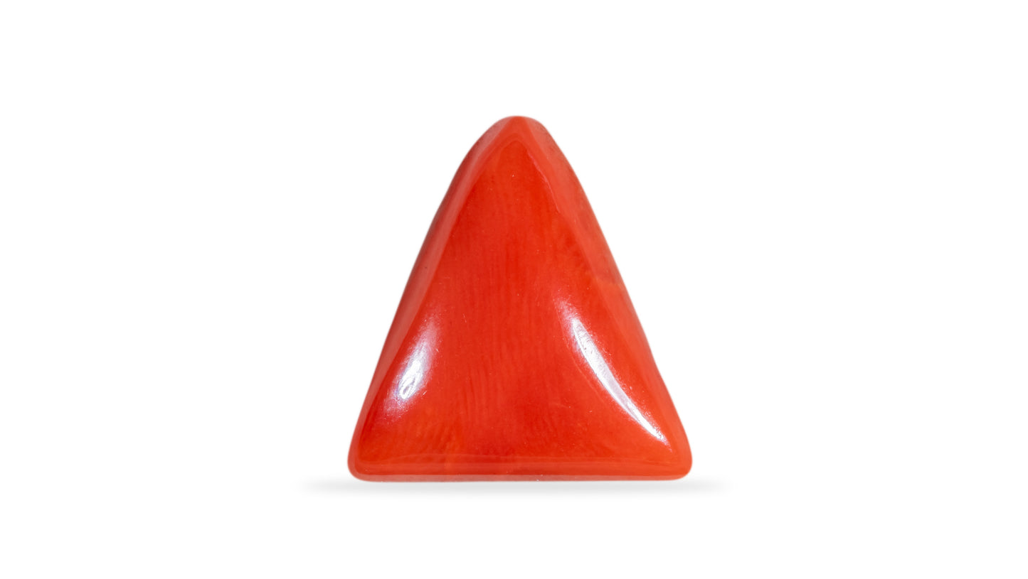 Natural Italian Red Coral (Moonga) 6.42 Carats