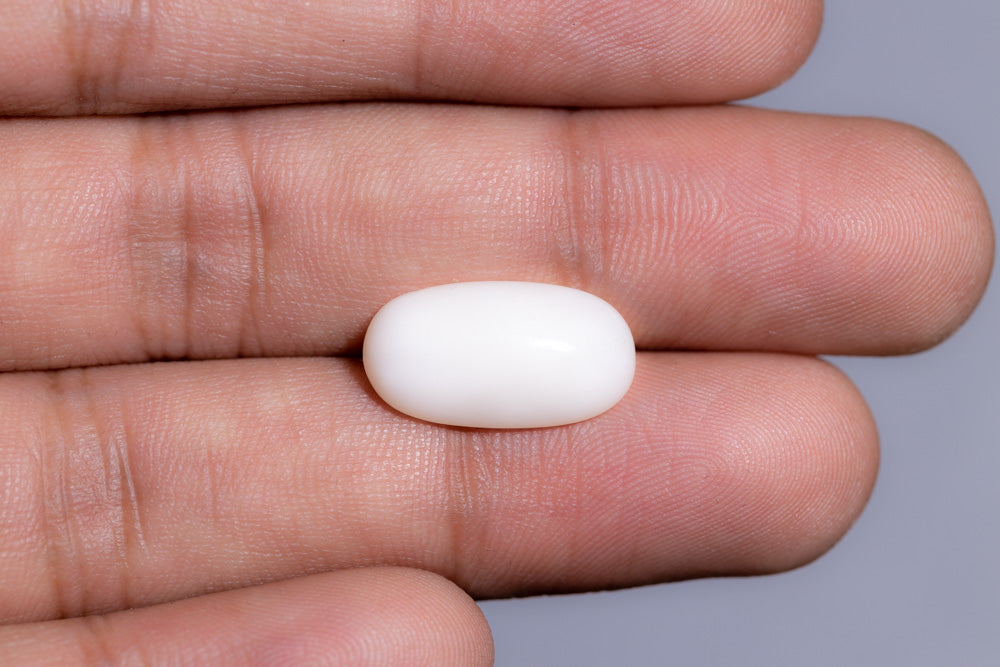 Natural White Coral 7.14 Carats