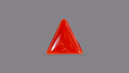 NATURAL RED CORAL (Moonga) 5.93 CARATS