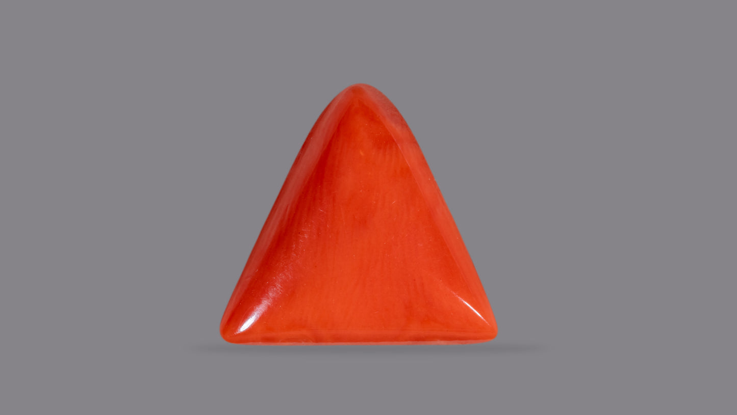 Natural Italian Red Coral (Moonga) 6.23 Carats