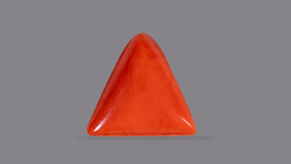 Natural Italian Red Coral (Moonga) 6.23 Carats