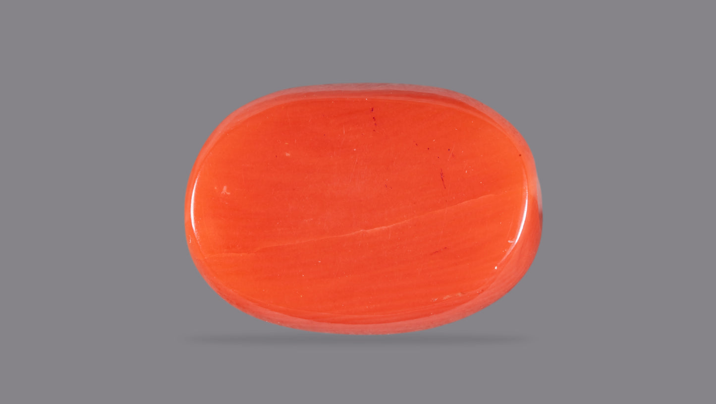 Natural Red Coral (Moonga) 8.91 Carats