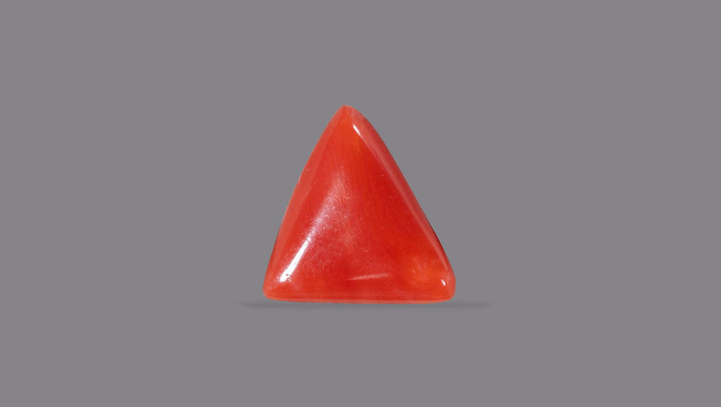 Natural Italian Red Coral (Moonga) 4.93 Carats