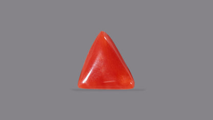 Natural Italian Red Coral (Moonga) 4.93 Carats