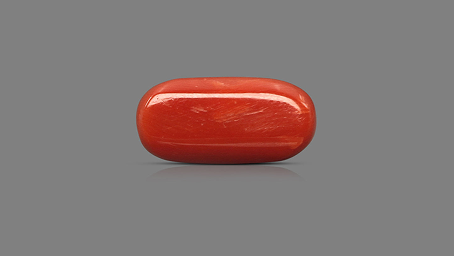 Natural Italian Red Coral (Moonga) 14.19 Carats