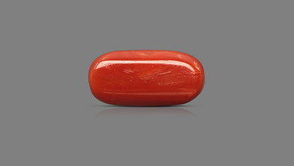 Natural Italian Red Coral (Moonga) 14.19 Carats