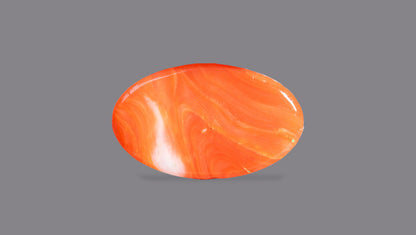 Japanese Red Coral (Moonga) 7.20 Carats
