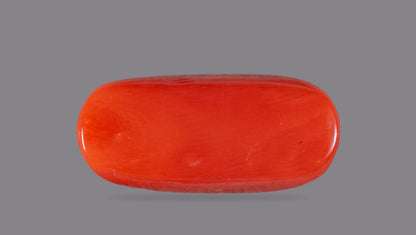Natural Italian Red Coral (Moonga) 7.44 Carats