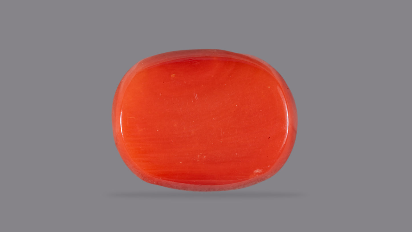 Natural Italian Red Coral (Moonga) 12.25 Carats