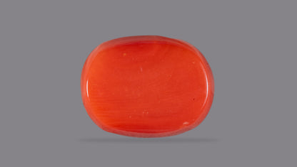 Natural Italian Red Coral (Moonga) 12.25 Carats