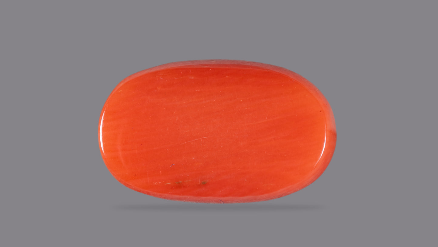 Natural Red Coral (Moonga) 8.04 Carats